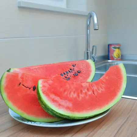 아파트 Olivera 1726