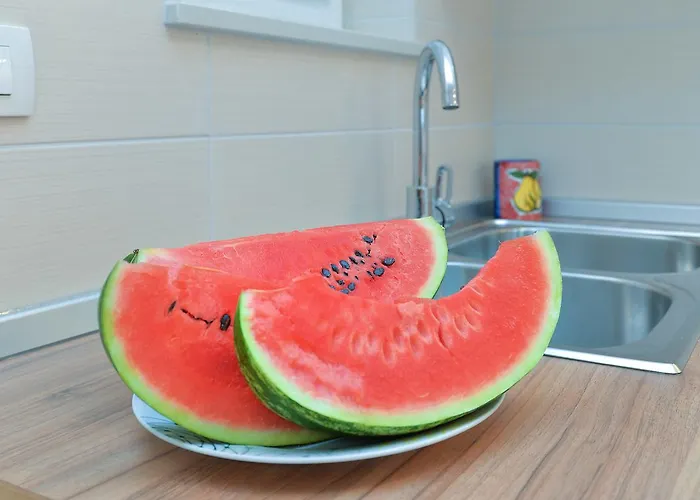 Apartmán Olivera 1726